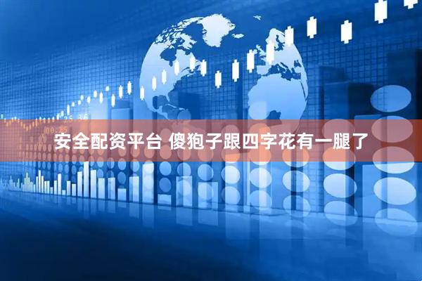 安全配资平台 傻狍子跟四字花有一腿了